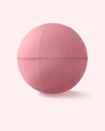 Bala Balance Ball - Image 3